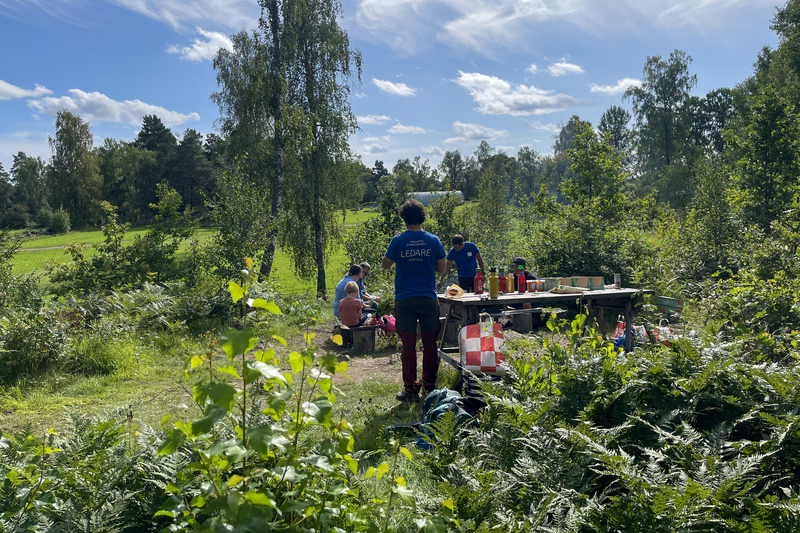 Friluftsfr&auml;mjandet grillar korv vid ett vindskydd i F&auml;rsna naturreservat under invigningen av F&auml;rsna naturreservat och friluftslivets dag 27 augusti 2023