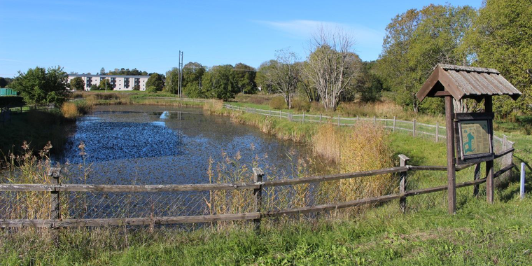 Dagvatten Vigelsjö.