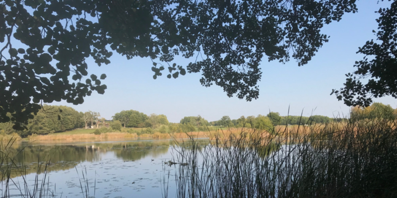 Vattensamling i Rimbo