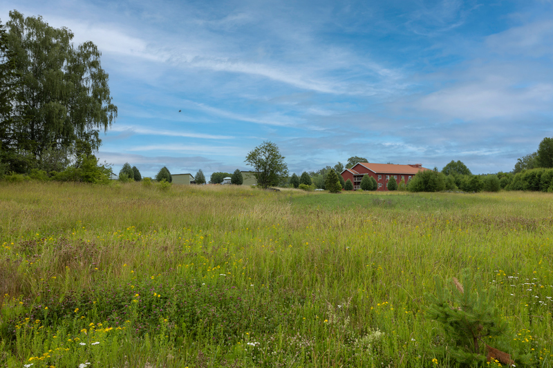Gr&ouml;nskande &auml;ngar i f&ouml;rgrunden och r&ouml;da l&auml;genhetshus i bakgrunden