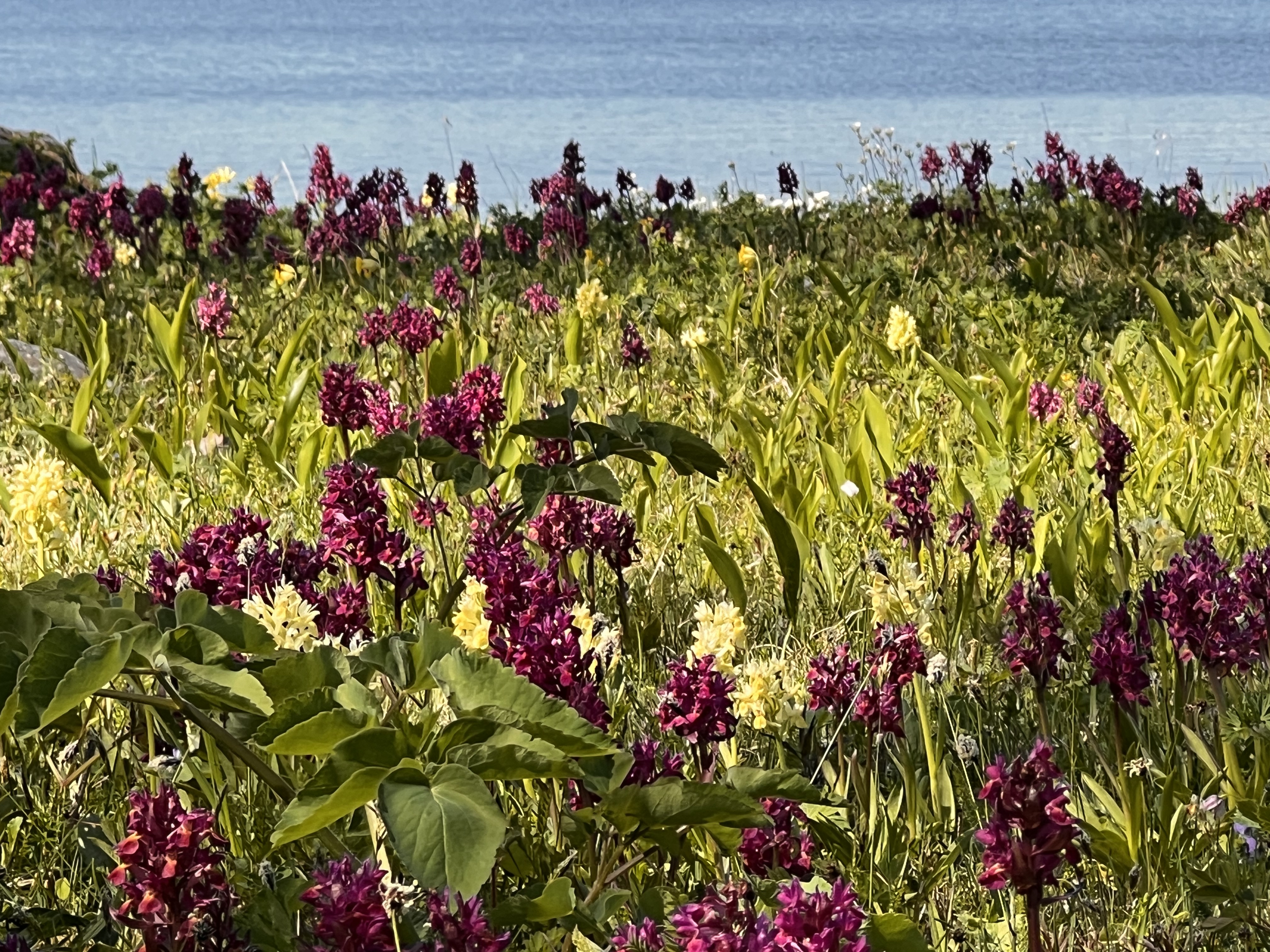 Ängsö nationalpark, Adam och Eva