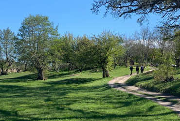 Långängen i Ängsö nationalpark. Foto: Länsstyrelsen
