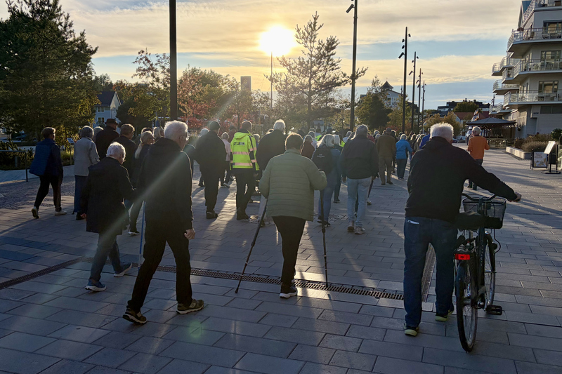 Folksamling g&aring;r guidad tur p&aring; Hamnpromenaden