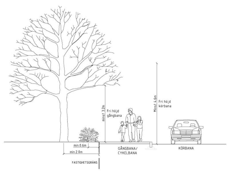 T&auml;nk p&aring; f&ouml;ljande n&auml;r du planerar utformningen av din tomt:- h&auml;ck planteras minst 0,6 m innanf&ouml;r tomtgr&auml;ns- tr&auml;d planteras minst 2,0 m innanf&ouml;r tomtgr&auml;ns.
