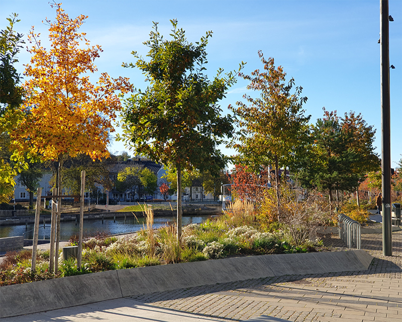 Kajstråk i Norrtälje