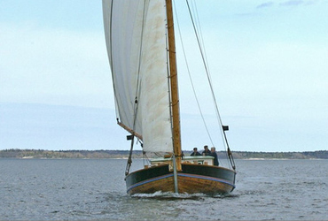 Föreningen Helmis Vänner.