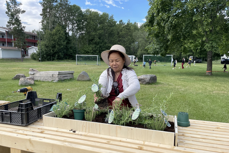 Planteringar vid Kusbyvägen