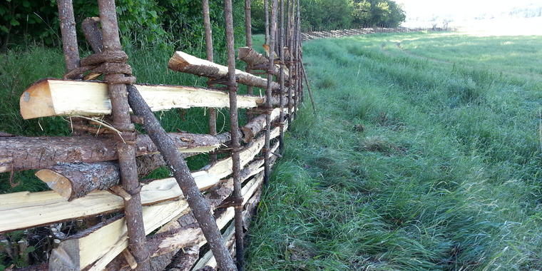 Gärdsgård i Lindholmens naturreservat.