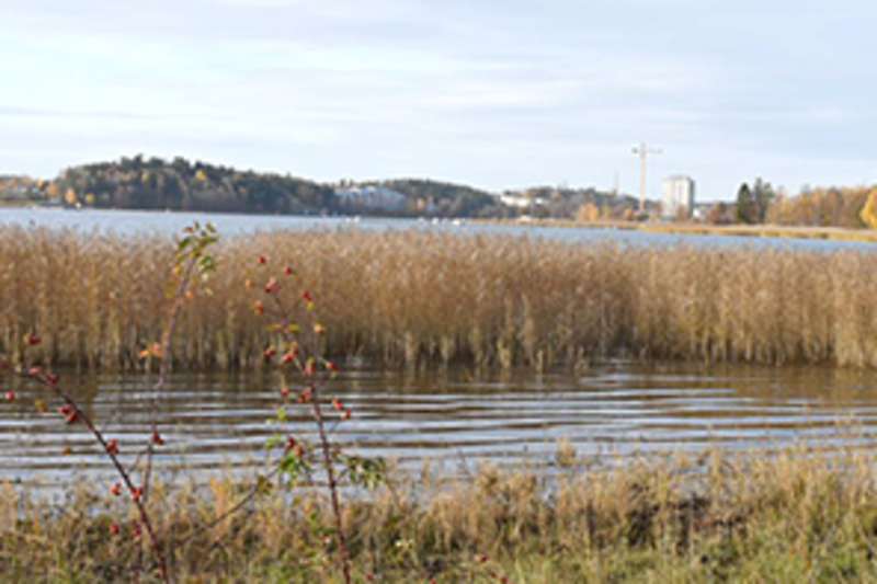 Lindholmens strand