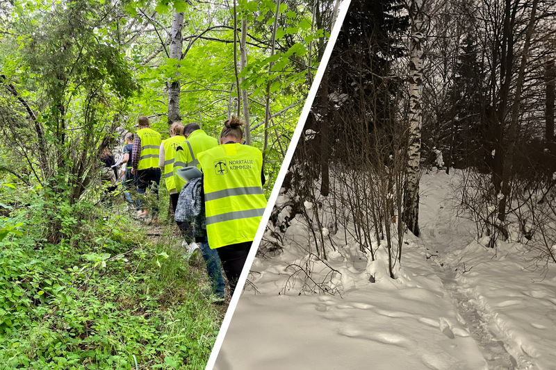 Gr&ouml;nska till v&auml;nster och vinterskrud till h&ouml;ger