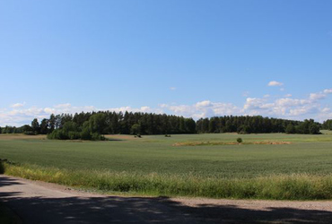 Åker, skog och himmel