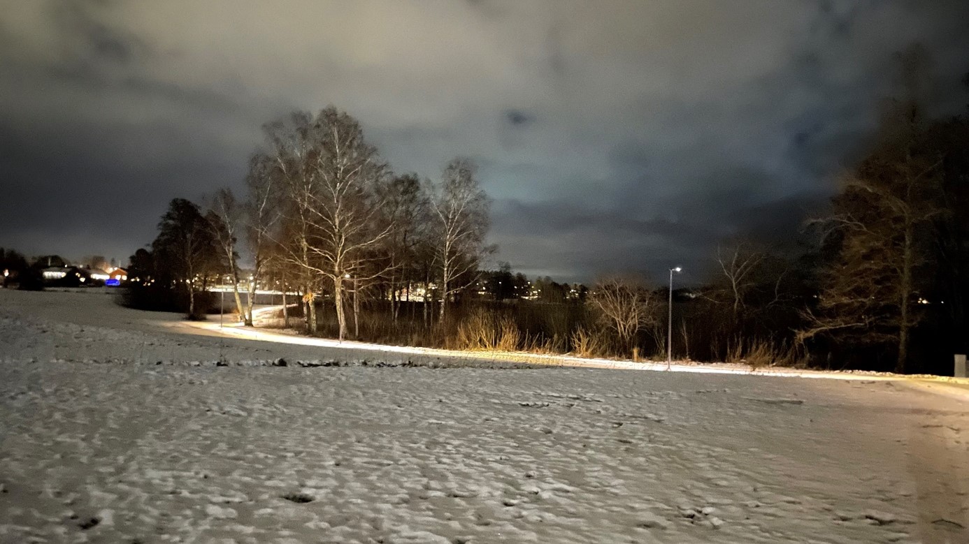 fladdermusljus bild 1 (1).jpg