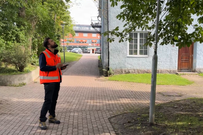 En man i orange v&auml;st tittar upp i en tr&auml;dkrona