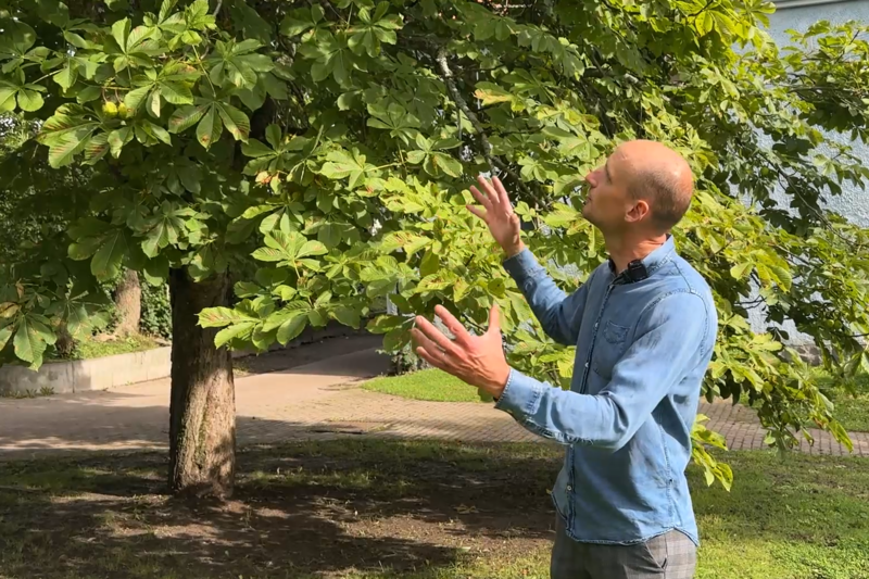 Peter tittar upp p&aring; ett tr&auml;d och gestikulerar med h&auml;nderna