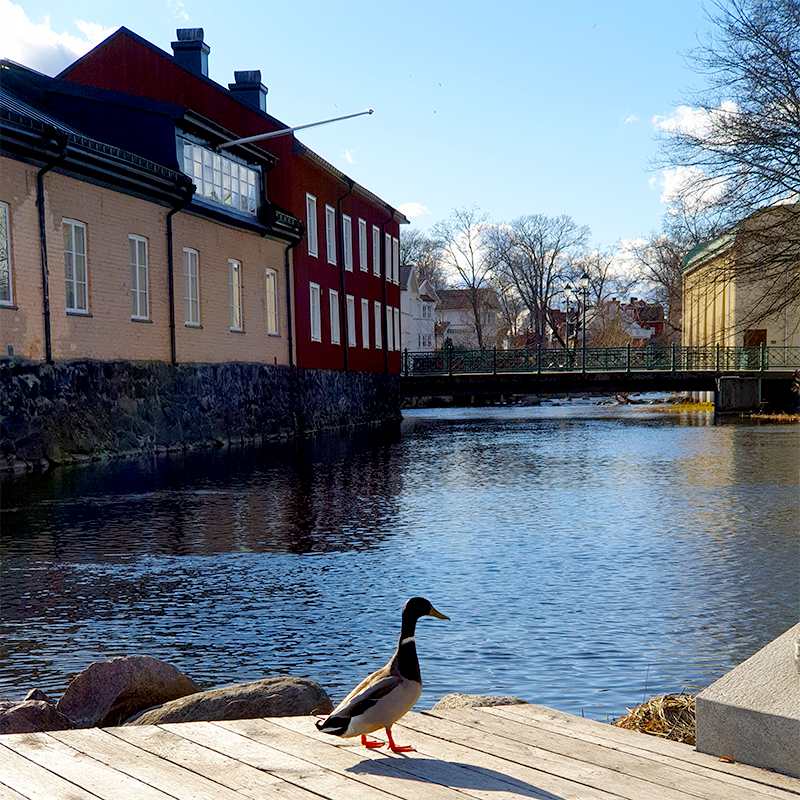 Norrt&auml;lje&aring;n