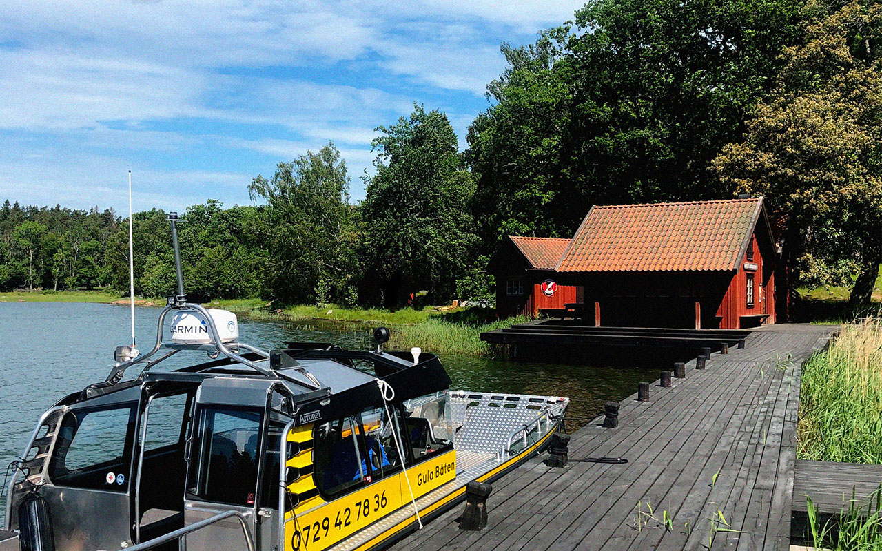 Vårblommor Ängsö Nationalpark (foto: Jonathan Stenvall)