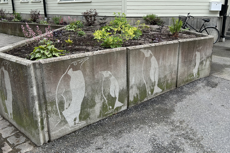 Pingvinger m&aring;lade p&aring; sten runt en rabatt i Norrt&auml;lje stad