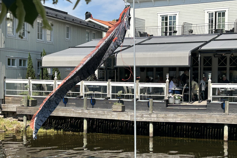 En flagga som föreställer en fisk flaggar i Norrtäljeån