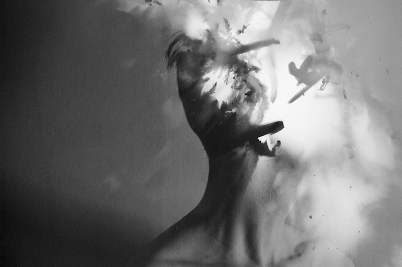 Bilder utst&auml;llning med Alvin Ulvebring