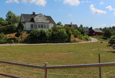 Boningshus och lador uppe på en höjd med betesmark nedanför