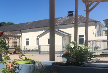 Blommor som barnen på förskolan Vega har odlat, med kulturskolan i bakgrunden.