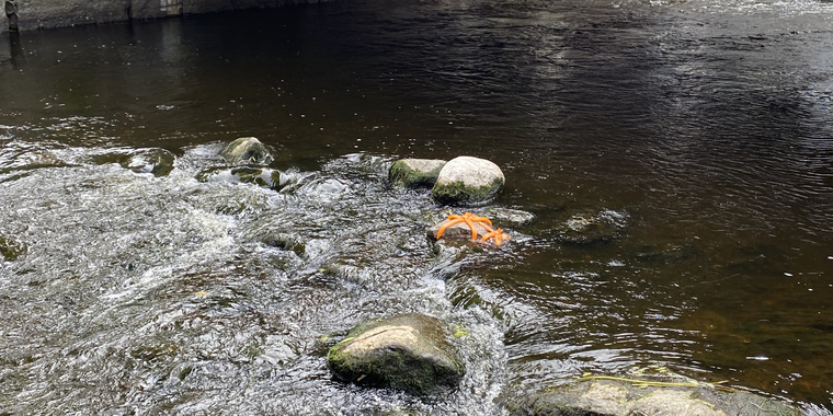 P&aring; resande fot.