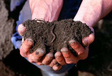 Händer håller upp kompostjord 