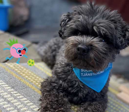 Åke sittandes på en matta. Bibliotekets maskot sparkar boll intill.