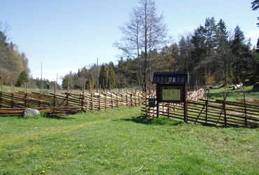Grönska betesmark gärdesgårdar