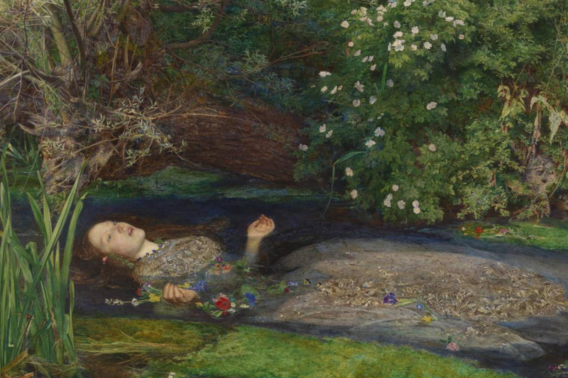 Bilden visar en bild som ska visa k&auml;nslan i 2023 blomsterprogram. Eftertanke.