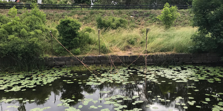 Hanna Ljunghs konstverk i Konst i &aring;n 2020.