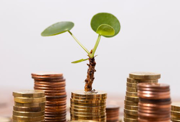 Stilleben med pengar